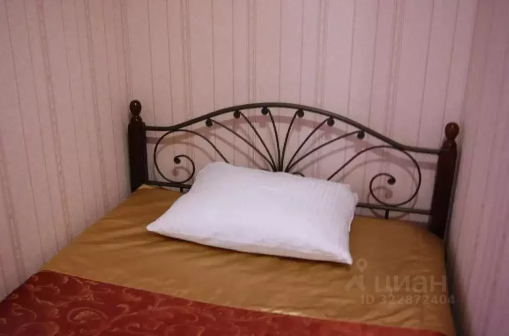 Комната Пензенская область, Пенза Лебедевская ул., 11 (11.0 м) - Фото 1