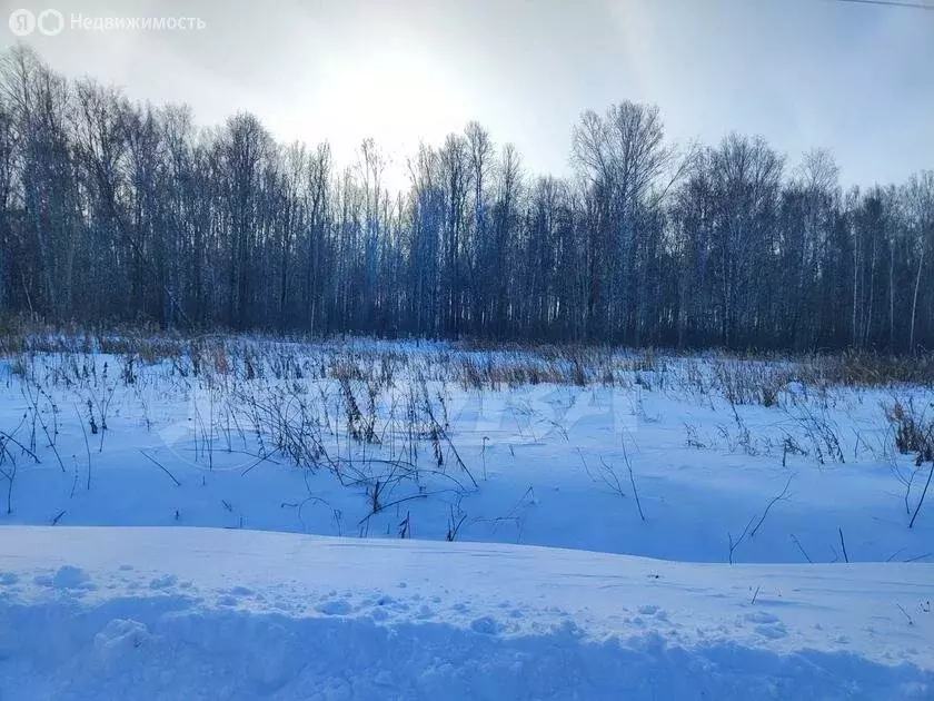 Участок в Тюменский район, деревня Решетникова (8 м) - Фото 1