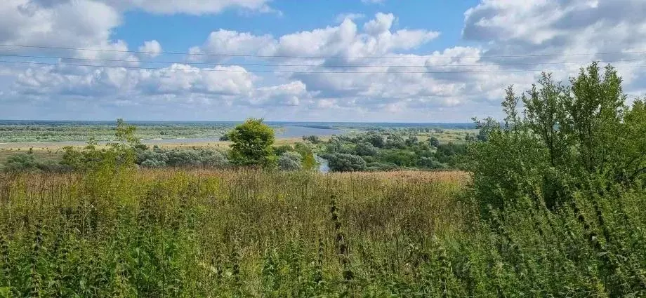 Участок в Владимирская область, Муром с. Панфилово, ул. Школьная, 99 ... - Фото 2