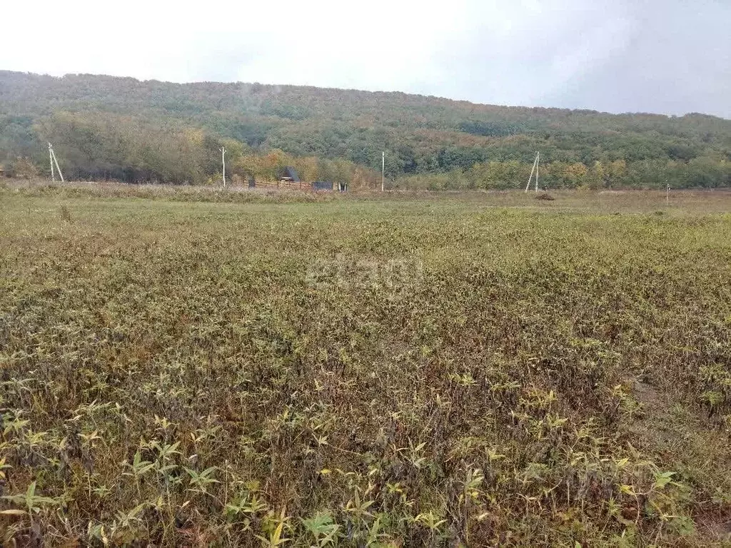 Участок в Адыгея, Майкопский район, Победенское с/пос, пос. Совхозный ... - Фото 1