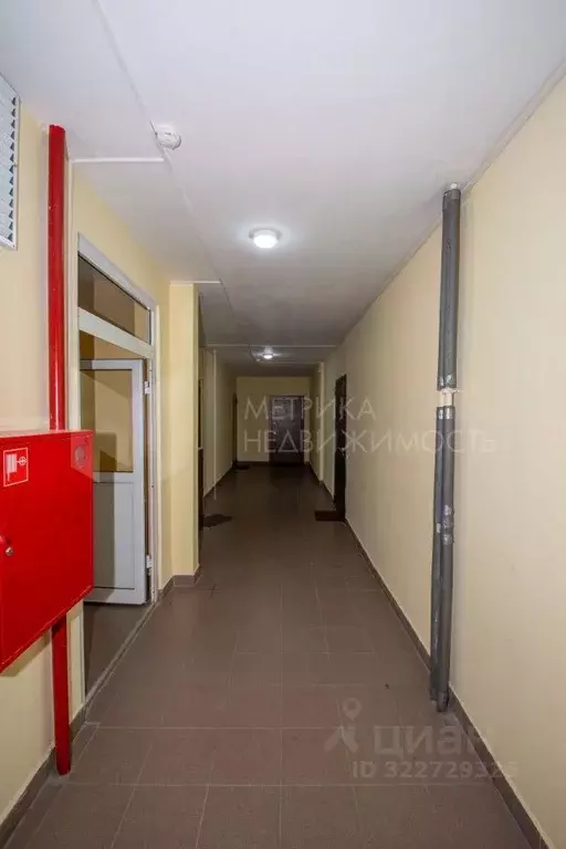 Студия Тюменская область, Тюмень ул. Беляева, 33к1 (27.8 м) - Фото 0