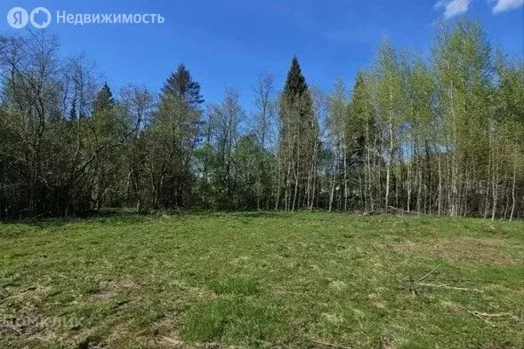 Участок в посёлок Шапки, Речная улица, 20 (12 м) - Фото 1