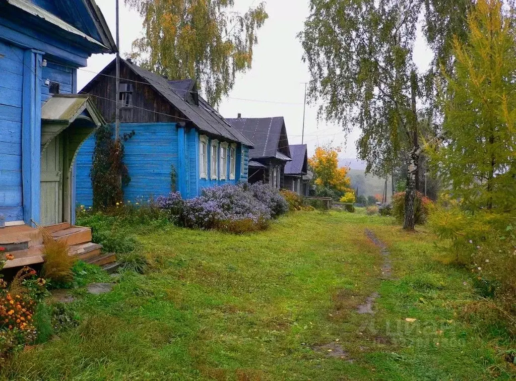 Участок в Нижегородская область, Чкаловск муниципальный округ, д. ... - Фото 1