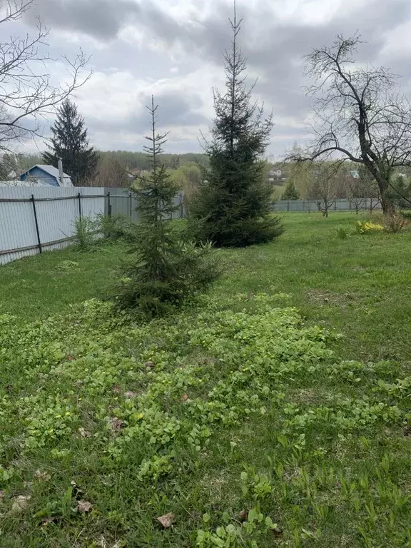 Участок в Тульская область, Ясногорск № 4 СНТ, ул. Центральная, 5 (7.0 ... - Фото 1