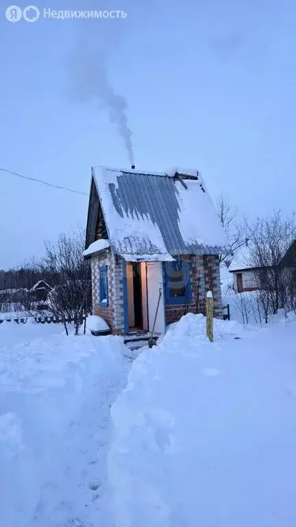 Дом в Тюменская область, Ялуторовский муниципальный округ, с/о Лесник, ... - Фото 2