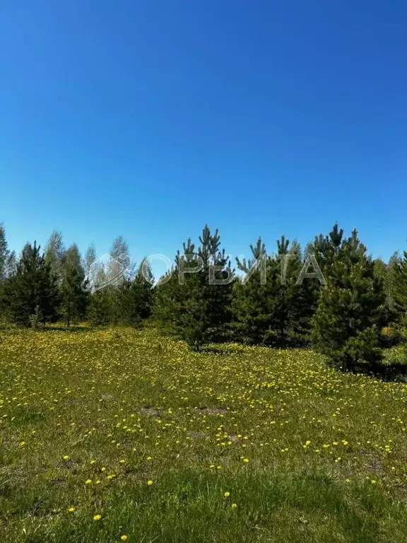 Участок в Тюменская область, Тюменский район, с. Кулига, Кулига-2 мкр  ... - Фото 0