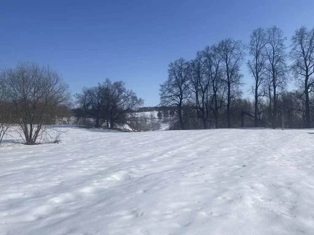 Участок в Московская область, Луховицы муниципальный округ, с. Городна ... - Фото 1