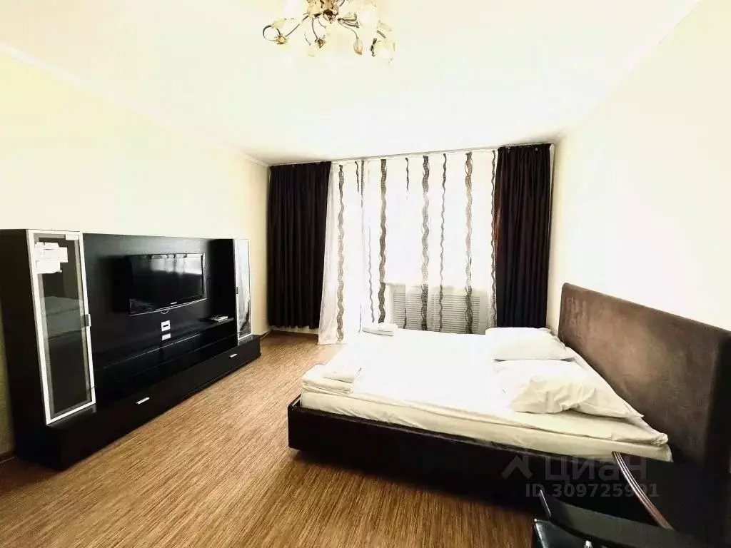 1-к кв. Брянская область, Брянск Красноармейская ул., 100 (50.0 м) - Фото 2