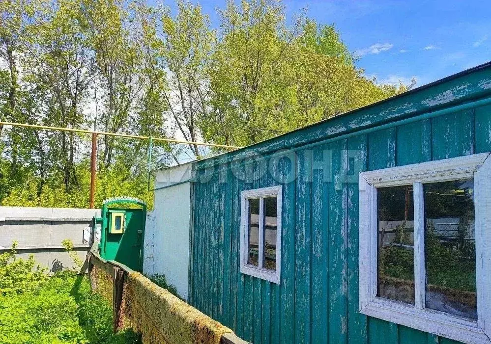 Дом в Новосибирская область, Искитимский район, с. Морозово ... - Фото 2