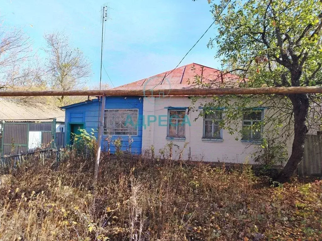 Дом в Белгородская область, Новооскольский муниципальный округ, с. ... - Фото 1