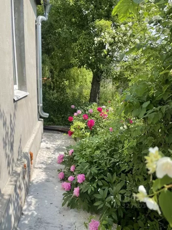 Дом в Воронежская область, Воронеж Память Мичурина СНТ, ул. Цветочная, ... - Фото 1