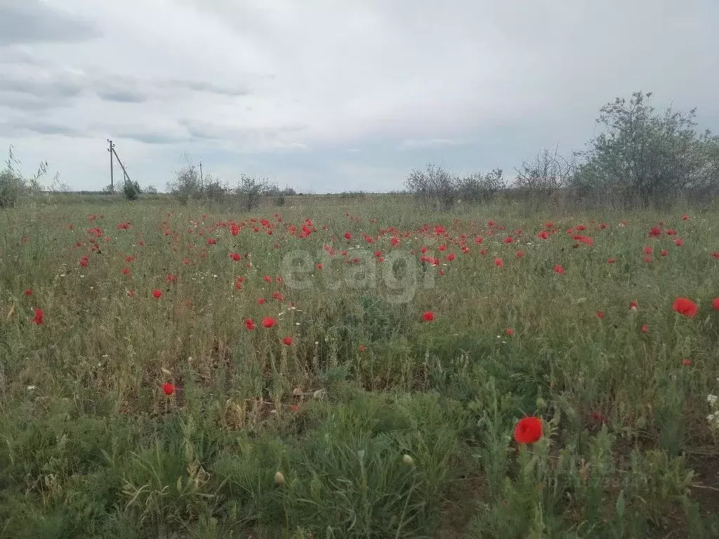 Участок в Крым, Ленинский район, Семисотское с/пос, с. Каменское ул. ... - Фото 0
