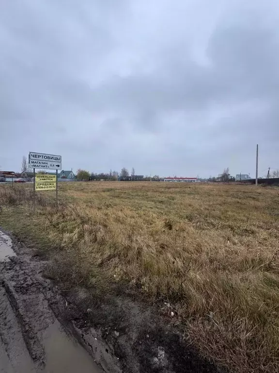 Участок в Воронежская область, Рамонский район, Айдаровское с/пос, с. ... - Фото 1
