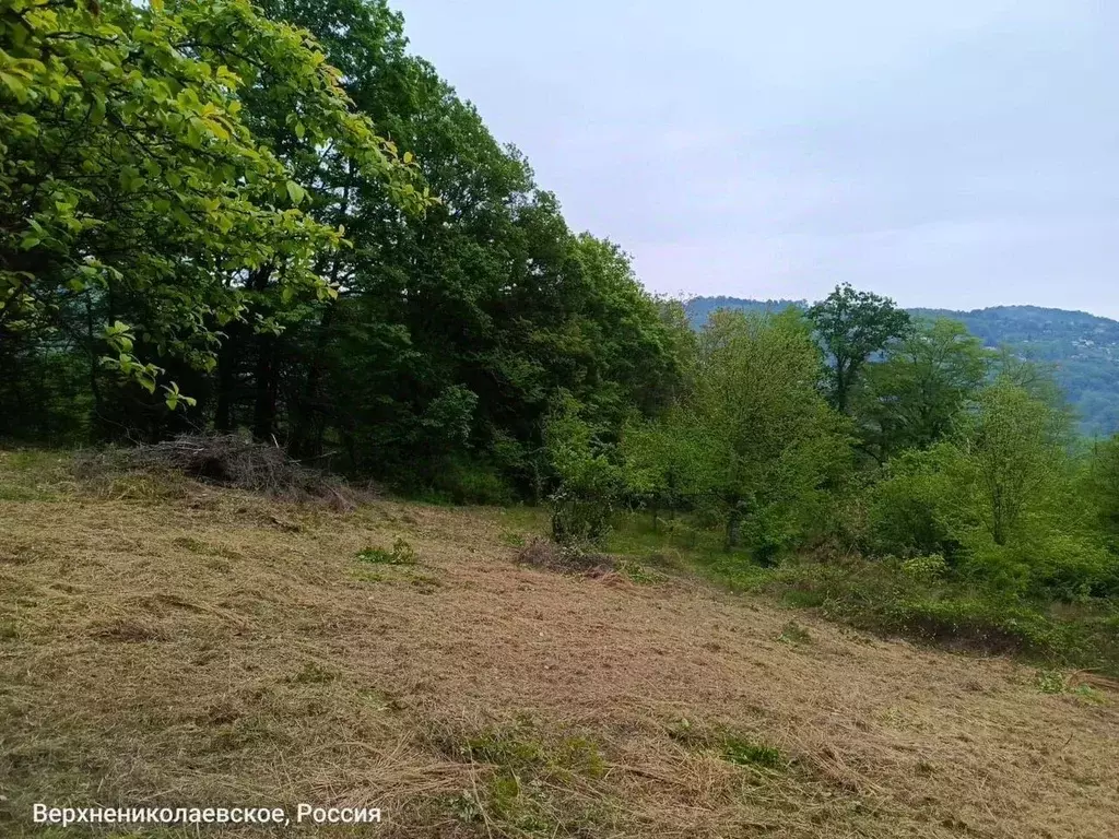 Участок в Краснодарский край, Сочи городской округ, с. ... - Фото 1