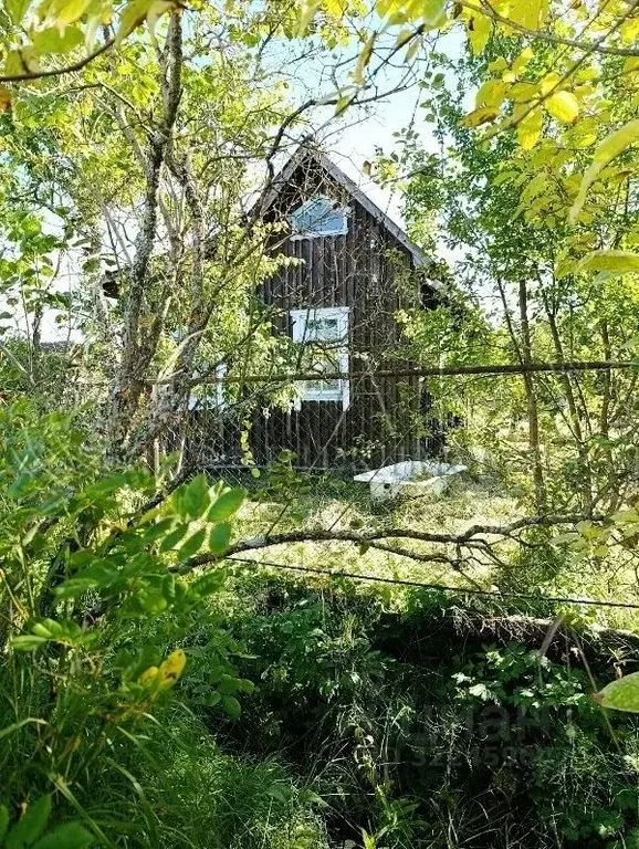 Дом в Ленинградская область, Приозерский район, Ларионовское с/пос, ... - Фото 2