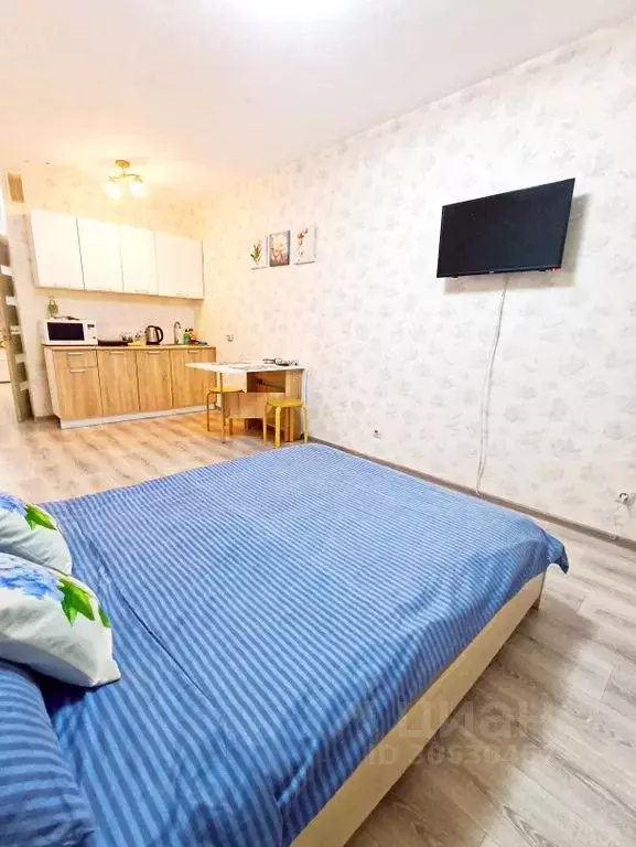 Студия Новосибирская область, Новосибирск ул. Забалуева, 92 (26.0 м) - Фото 1