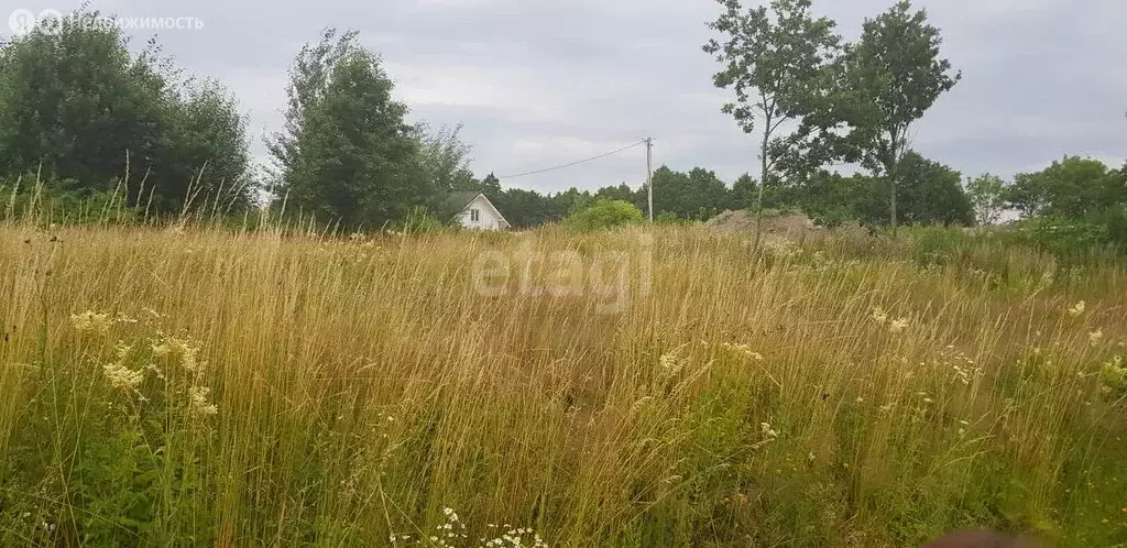 участок в калининградская область, гурьевский муниципальный округ, . - Фото 0