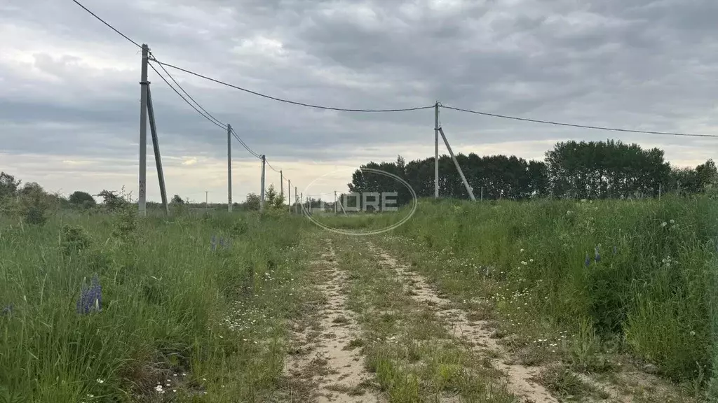 Участок в Калининградская область, Гурьевский муниципальный округ, ... - Фото 0