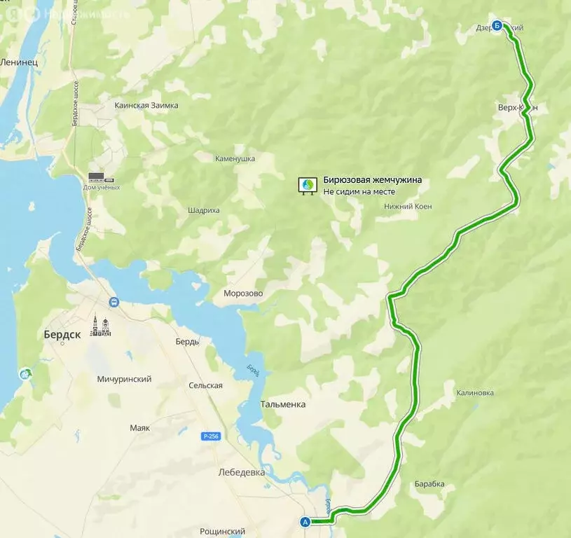 Участок в Искитимский район, Верх-Коенский сельсовет, посёлок ... - Фото 2