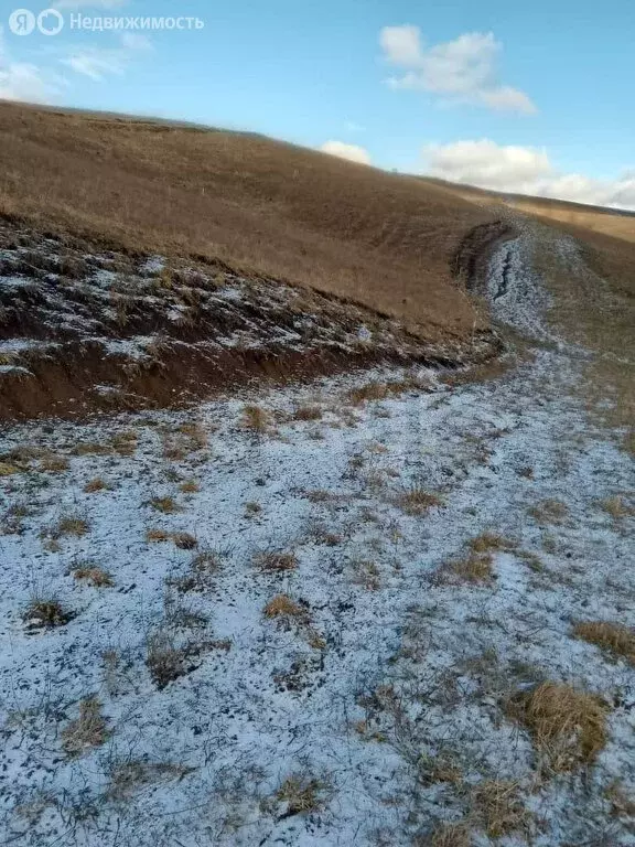Участок в Майминский район, посёлок Алфёрово (10.02 м) - Фото 2