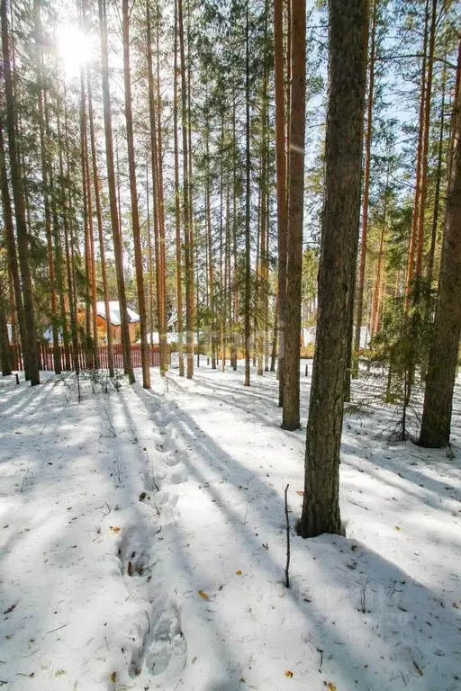 Участок в Свердловская область, Невьянский городской округ, пос. ... - Фото 1