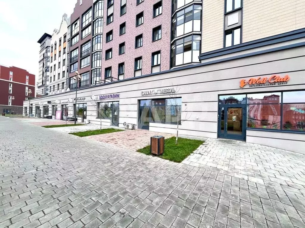 Помещение свободного назначения (60 м) - Фото 2