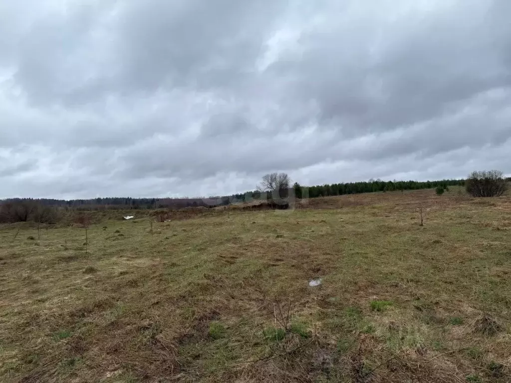 Участок в Пермский край, Ильинский муниципальный округ, д. Плотники ... - Фото 2