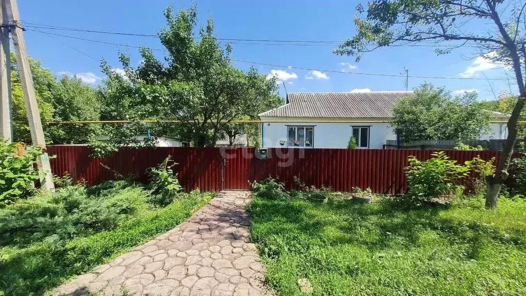 Дом в Белгородская область, Волоконовский район, с. Ютановка ул. Мира, ... - Фото 1