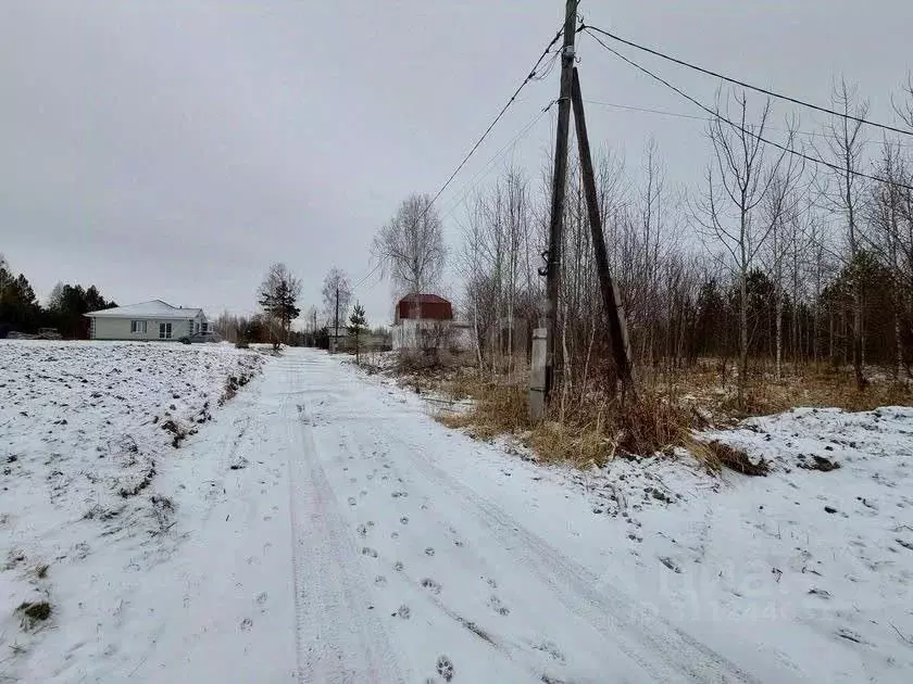 Участок в Тюменская область, Нижнетавдинский район, Здоровье-3 СТ 6 ... - Фото 0