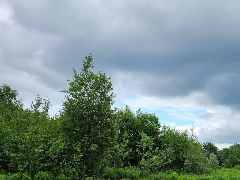 Участок в Московская область, Истра муниципальный округ, пос. ... - Фото 1