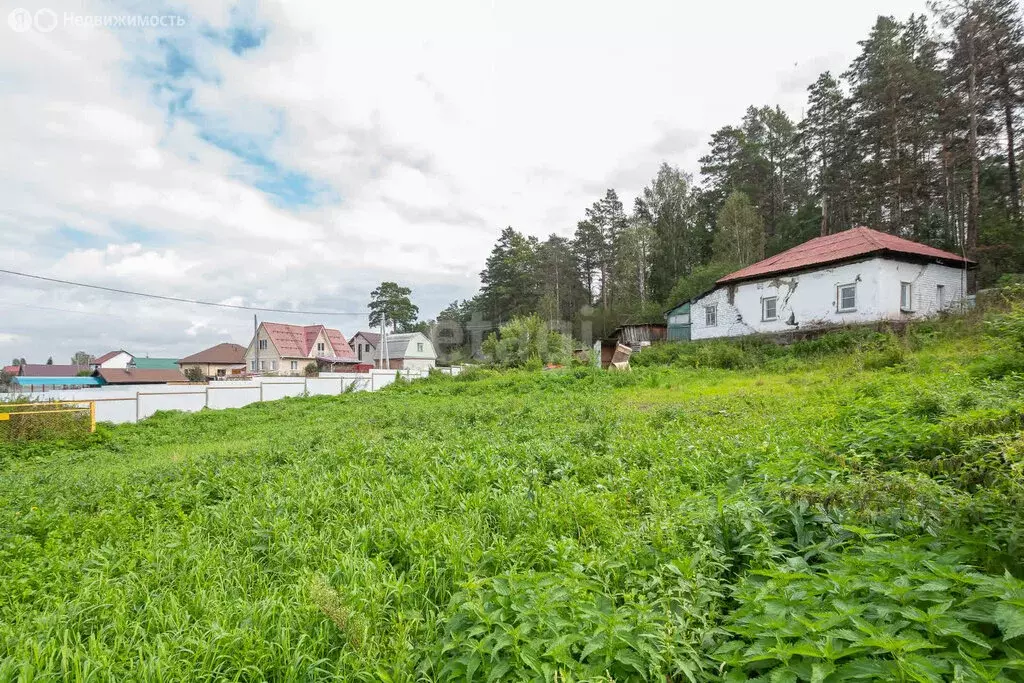 Дом в село Барышево, улица Мичурина, 3 (50 м) - Фото 0