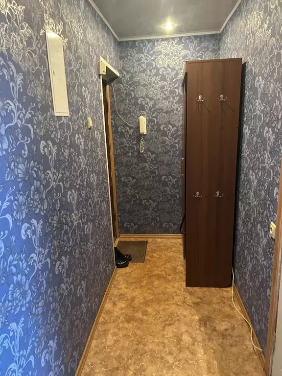 1-к кв. Нижегородская область, Дзержинск бул. Победы, 14А (32.0 м) - Фото 1