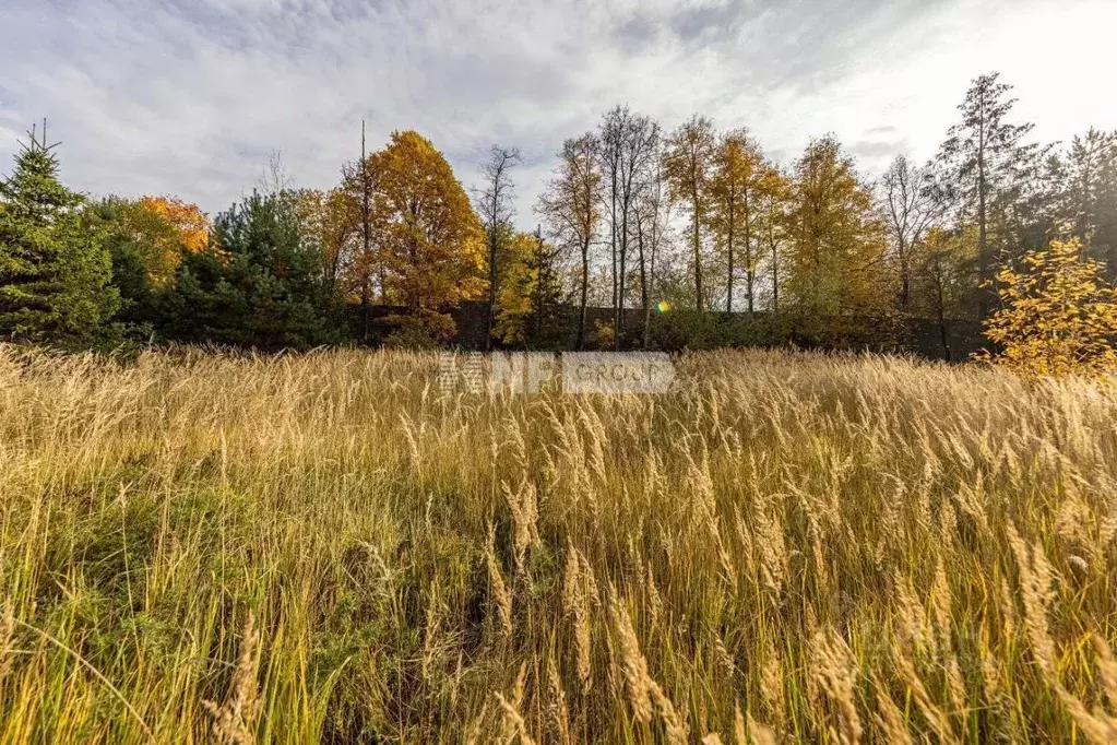 Участок в Московская область, Одинцовский городской округ, Мэдисон ... - Фото 0