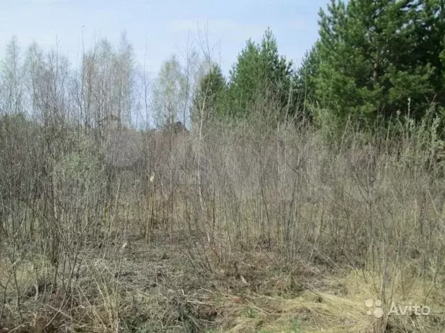 Участок 30 сот. (СНТ, ДНП) - Фото 1