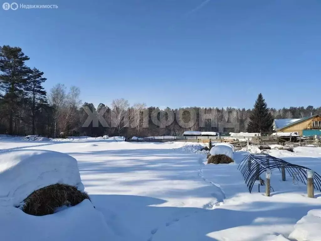 Участок в посёлок Сосновка, Центральная улица (10 м) - Фото 2