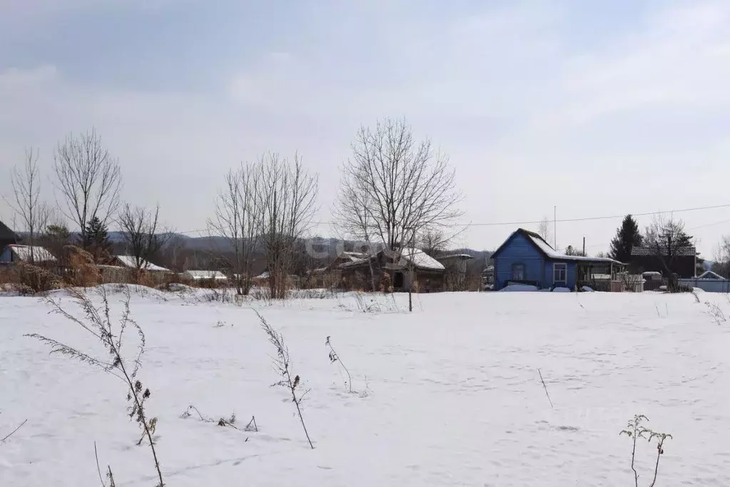 Участок в Хабаровский край, Хабаровский район, Автомобилист СНТ ул. ... - Фото 2
