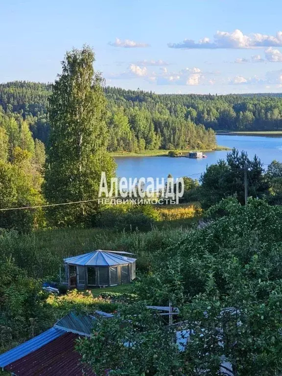 Участок в Карелия, Лахденпохский муниципальный округ, Рукола тер.  ... - Фото 1