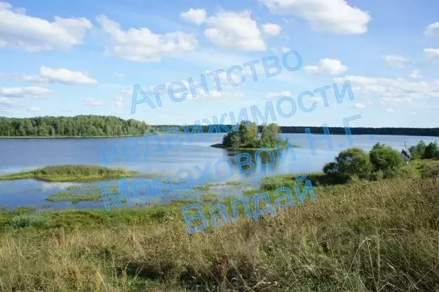 Участок в Новгородская область, Валдайский район, д. Плав  (200.0 ... - Фото 0