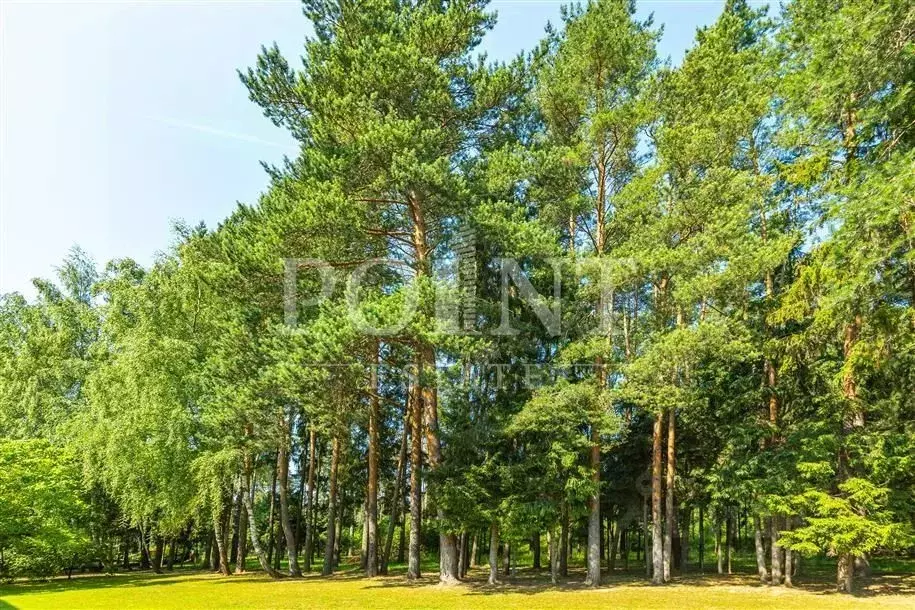 Участок в Московская область, Одинцовский городской округ, пос. ... - Фото 1