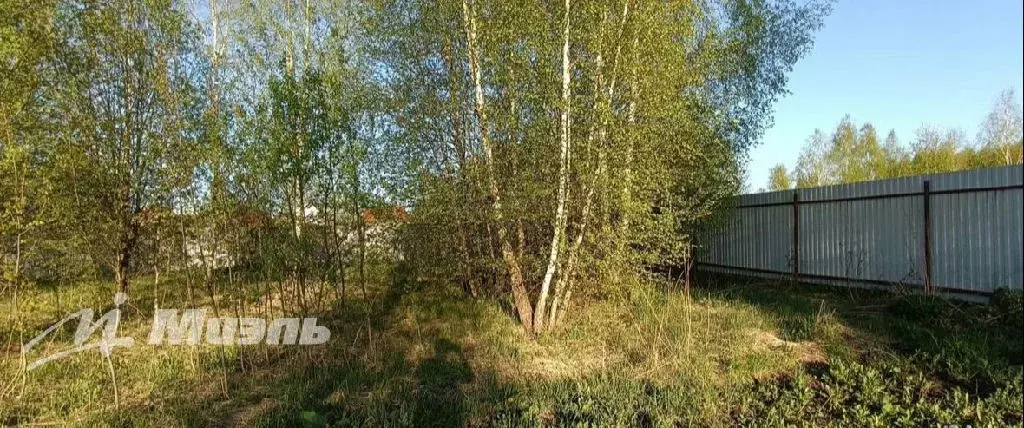 Продается участок в с. Заворово - Фото 1