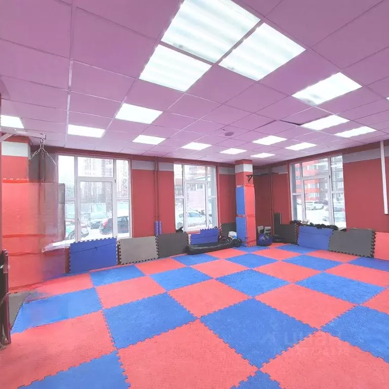 Помещение свободного назначения в Ленинградская область, Мурино ... - Фото 1