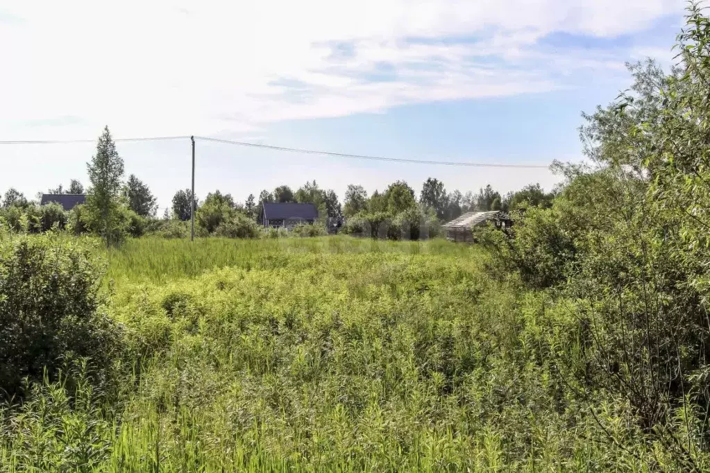 Участок в Тюменская область, Тюмень Поле Чудес садовое товарищество, ... - Фото 1