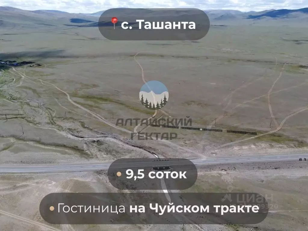 Участок в Алтай, Кош-Агачский район, с. Ташанта Р-256 Чуйский тракт, ... - Фото 1