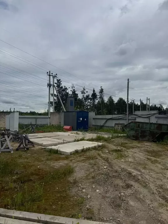 Участок в Ленинградская область, Всеволожский район, д. Новое ... - Фото 1
