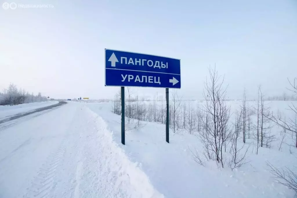 Участок в Новый Уренгой, дачное некоммерческое товарищество Виктория ... - Фото 1