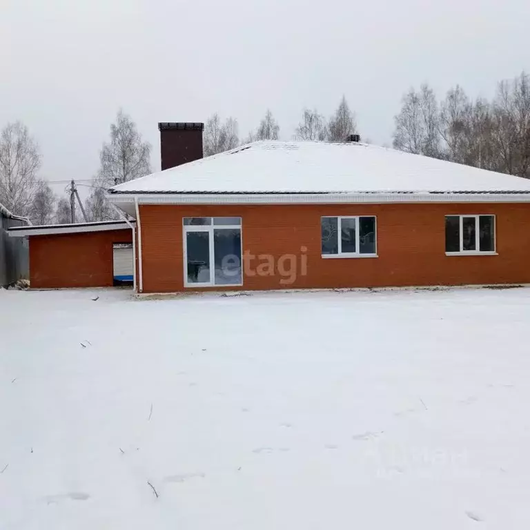 Дом в Нижегородская область, Выкса городской округ, с. Борковка, ... - Фото 2