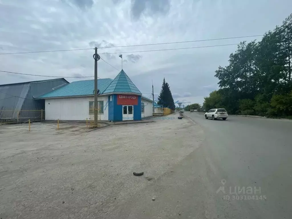 Торговая площадь в Новосибирская область, Новосибирск Толмачевское ш., ... - Фото 0