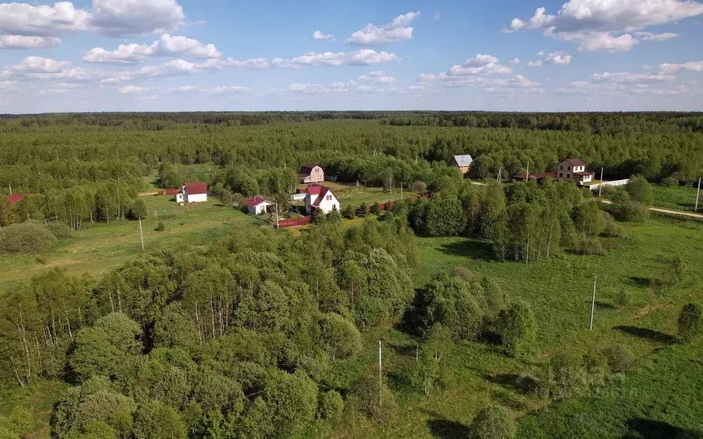 участок в московская область, можайский городской округ, лесные . - Фото 1