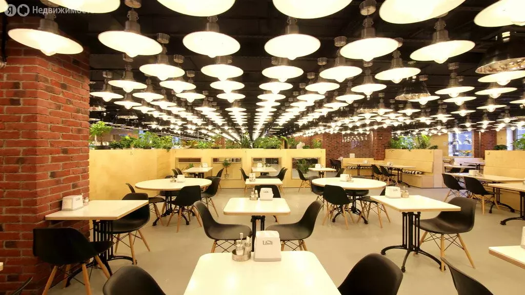 Торговая площадь (448.6 м) - Фото 1