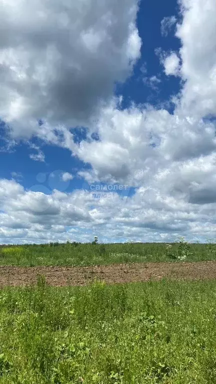Участок 10 сот. (СНТ, ДНП) - Фото 1